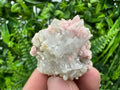 Pink Rhodochrosite Crystal: Starnica Mine, Bulgaria