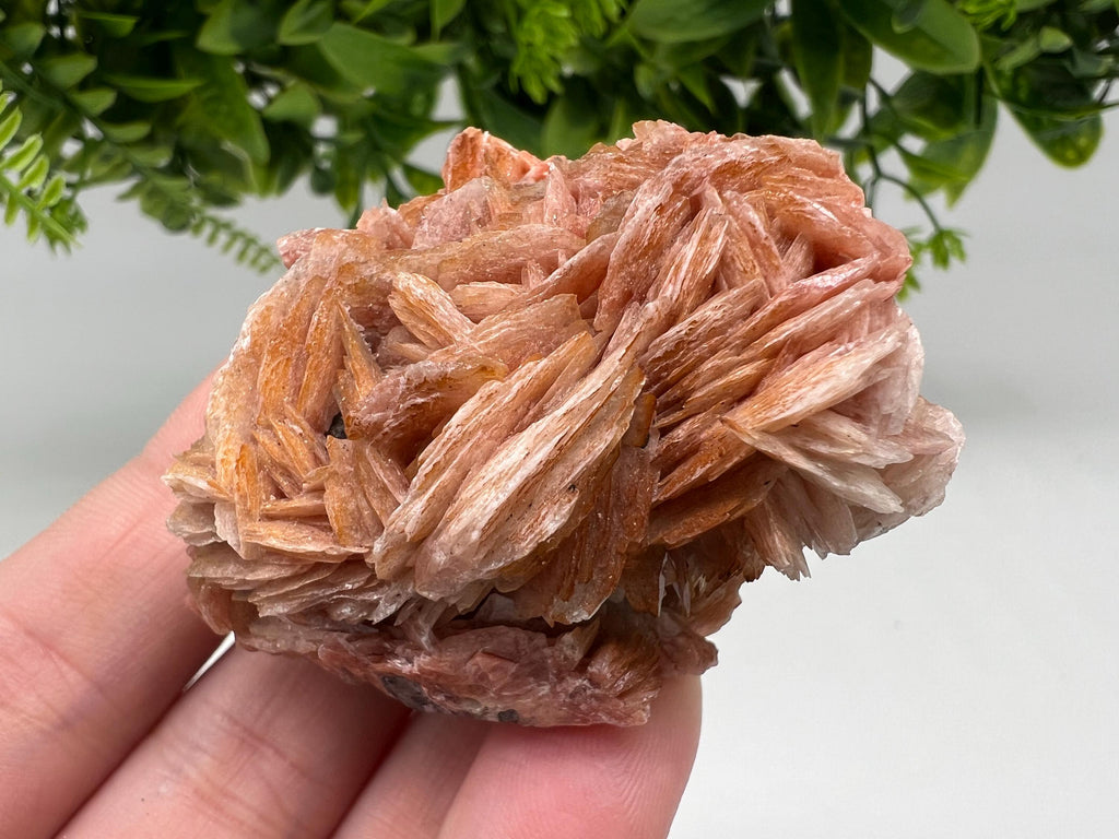 Wonderful Baryte with Cerussite on Galena from Morocco,Crystal, Mineral,Specimen,Cluster,Crystals,Barite Crystal,Cerussite Crystal,Specimen