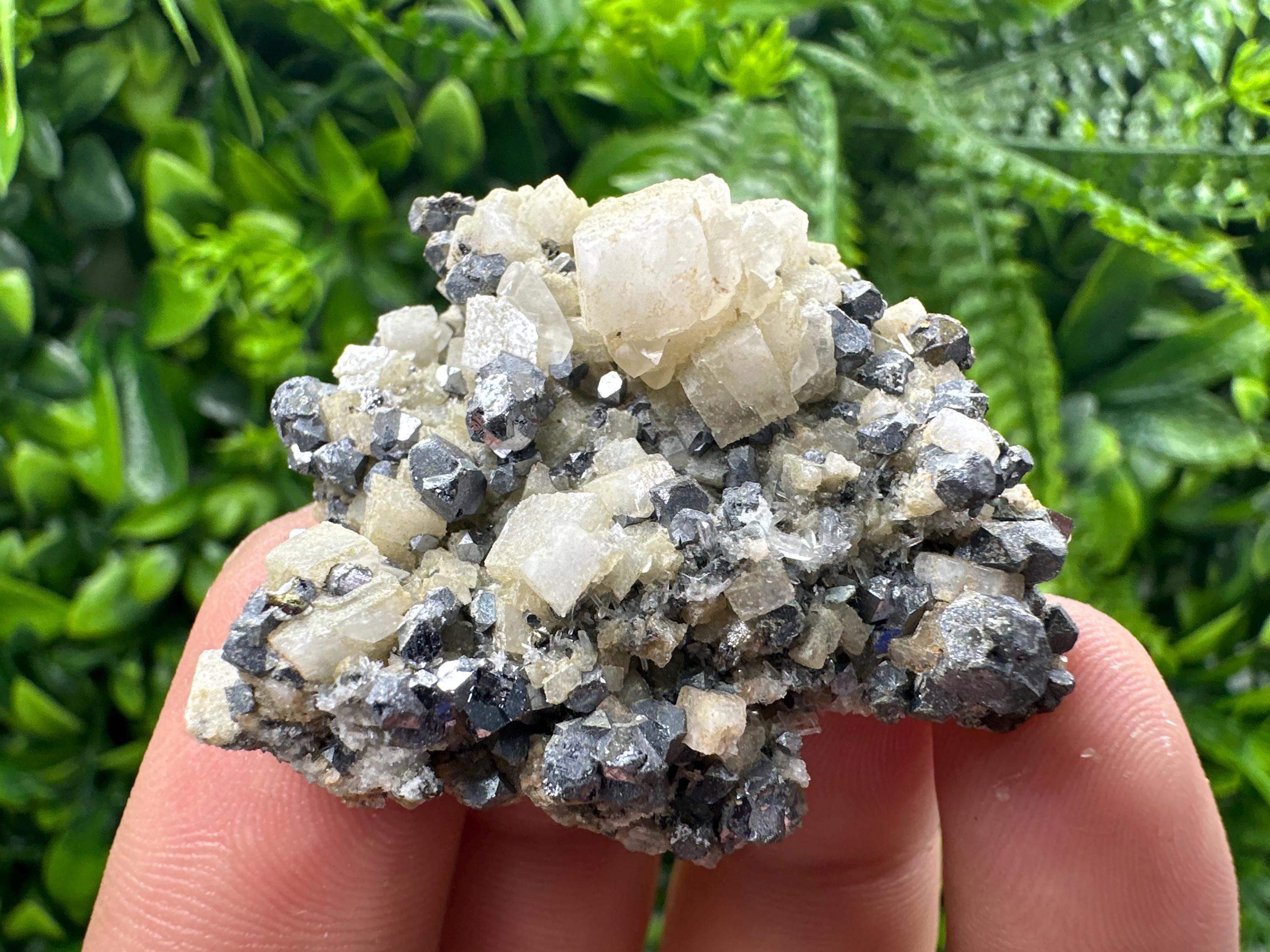 Galena Chalcopyrite on Calcite, Borieva Mine, Bulgaria