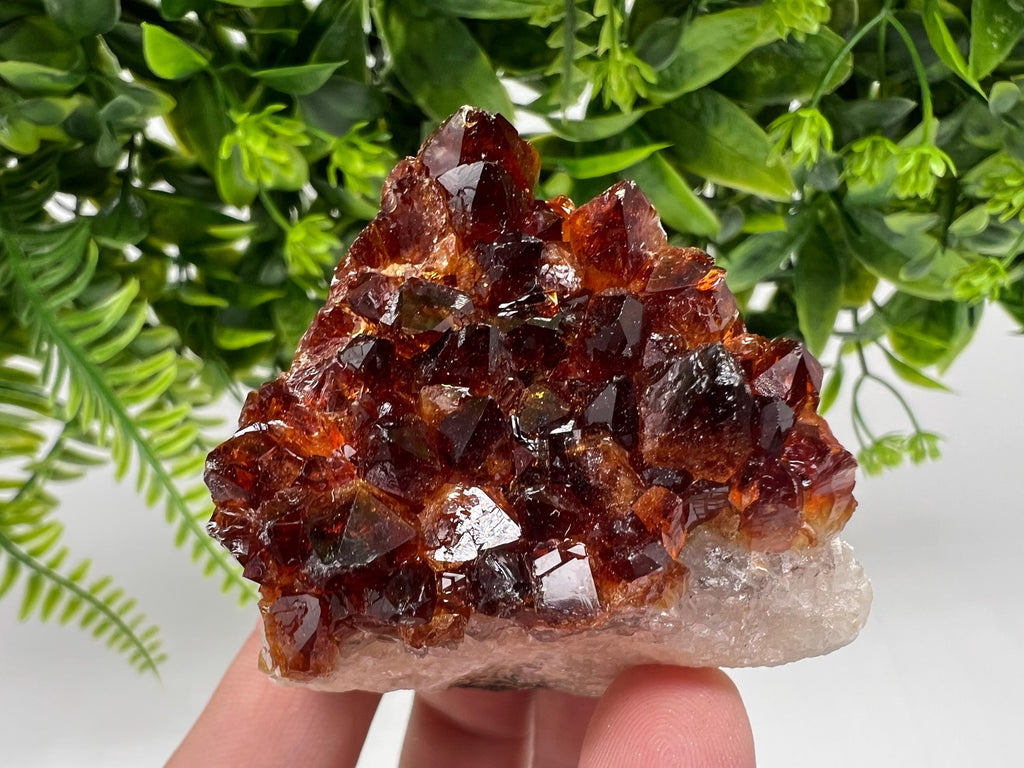 Brazilian Citrine Crystal Cluster with Hematite Inclusions