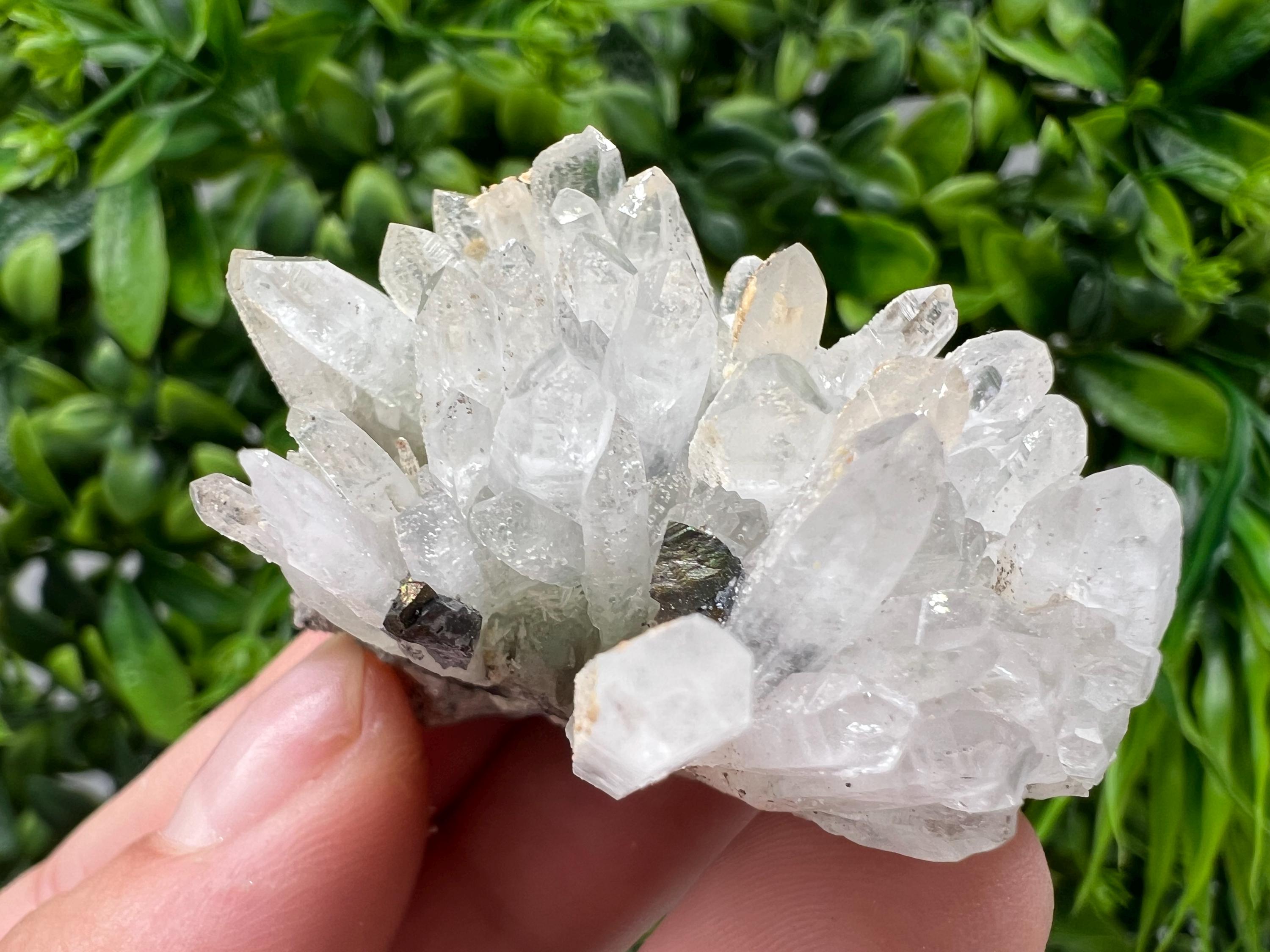 Transparent Quartz,Chlorite,Chalcopyrite Matrix,From Borieva mine,Madan,Bulgaria,Quartz,Quartz crystal,mineral specimen,collection quartz