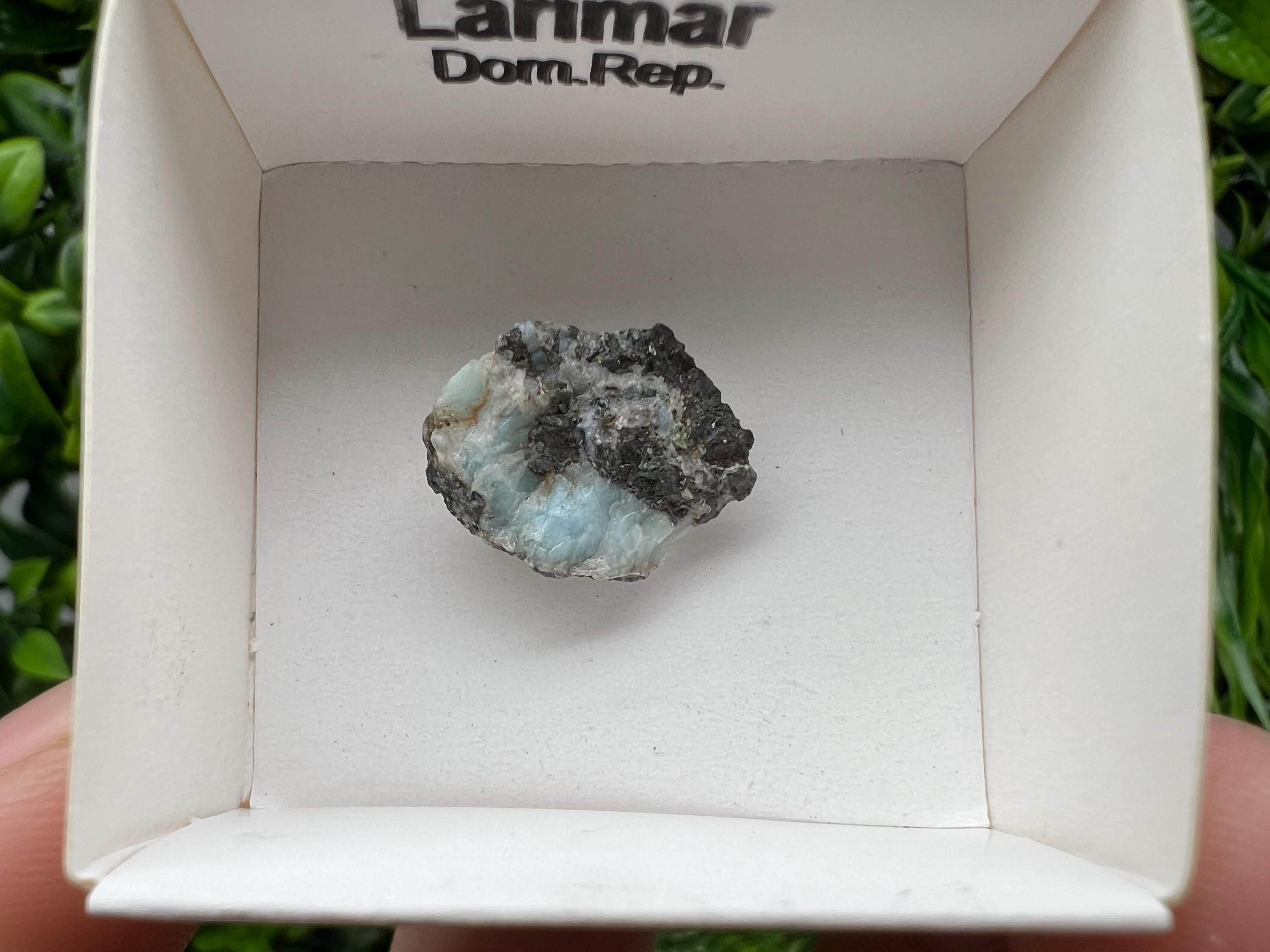 Rare Raw Larimar Specimen: Dominican Republic Mineral Collection (20/15mm)