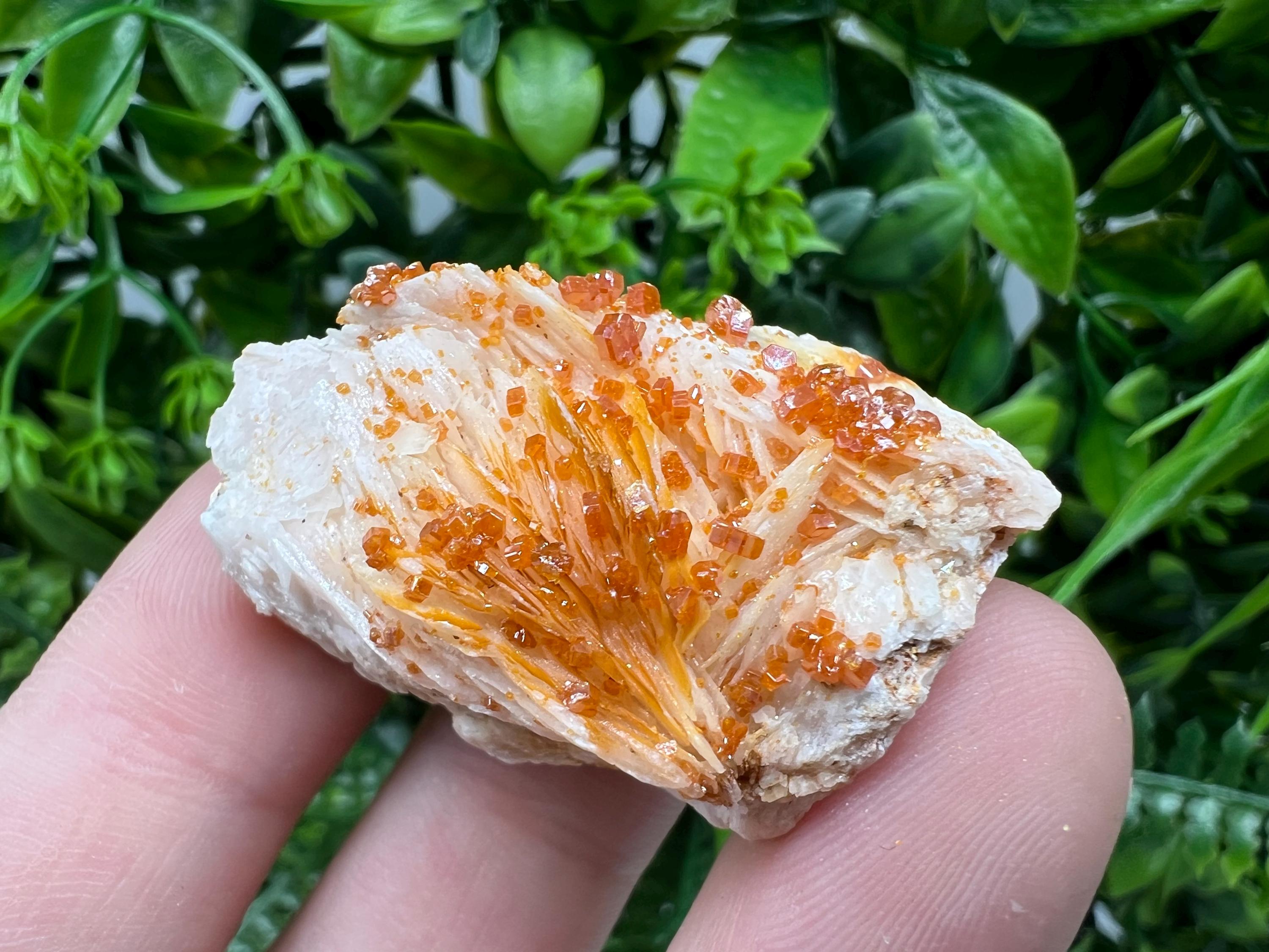 Red Vanadinite on Barite from Marocco,crystal minerals Speciment cluster Vanadinite crystal Vanadinite Geology Vanadinite cluster minerals