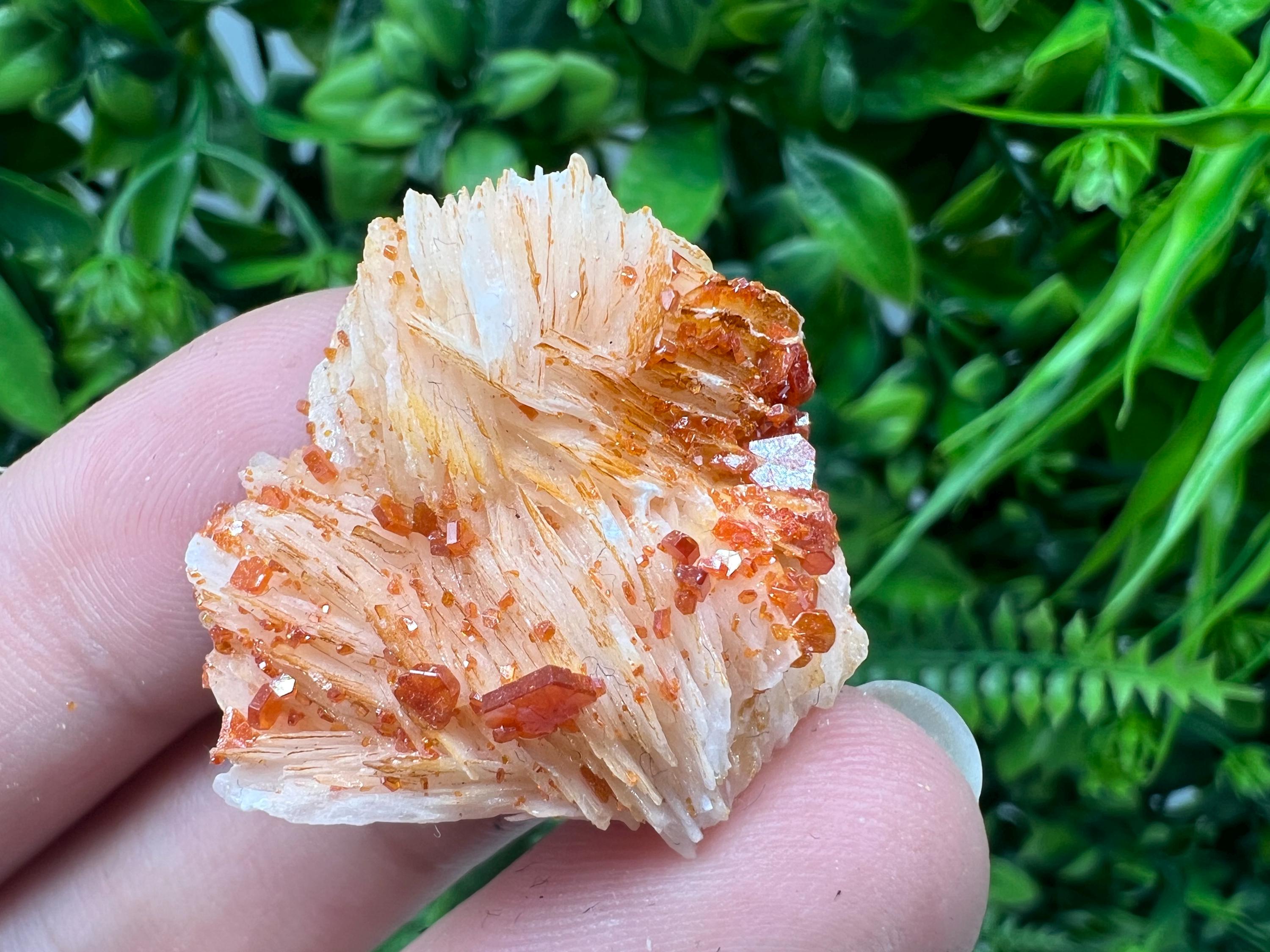 Red Vanadinite on Barite from Marocco,crystal minerals Speciment cluster Vanadinite crystal Vanadinite Geology Vanadinite cluster minerals