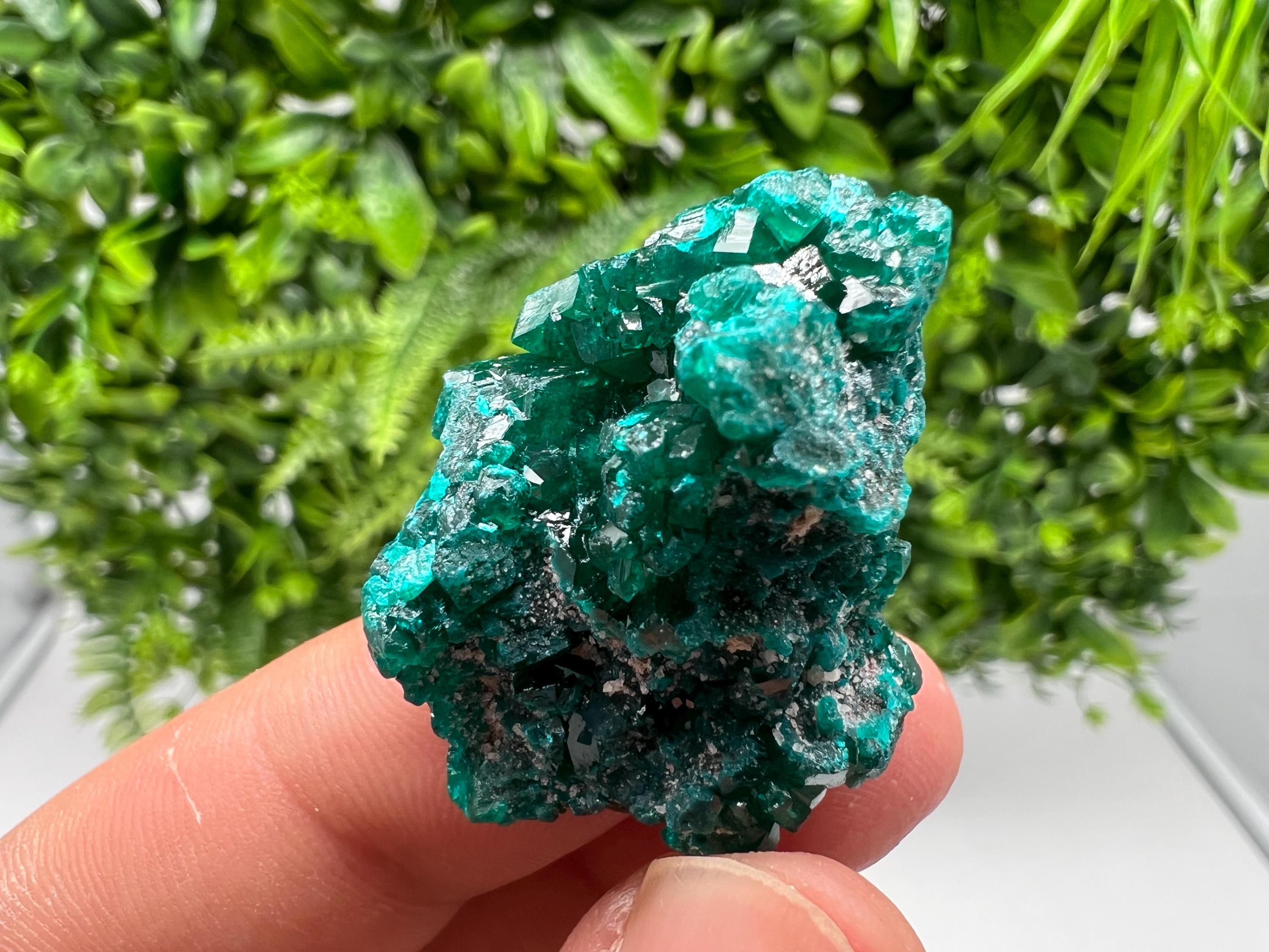 Stunning Green Dioptase from Sanda Hills,Mindouli,Pool Department,Mindouli District,Congo,green Dioptase,Dioptas Crystal,Dioptase collecting