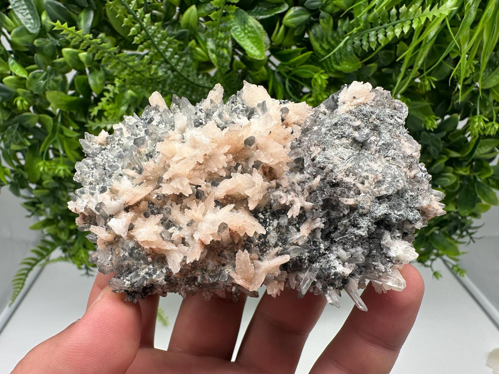 Calcite on Green Quartz: Djurcovo Mine, Bulgaria Crystal