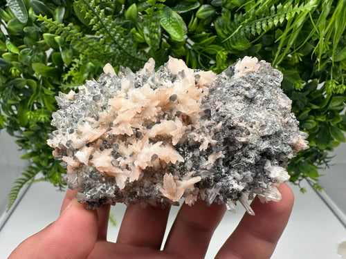 Calcite on Green Quartz: Djurcovo Mine, Bulgaria Crystal