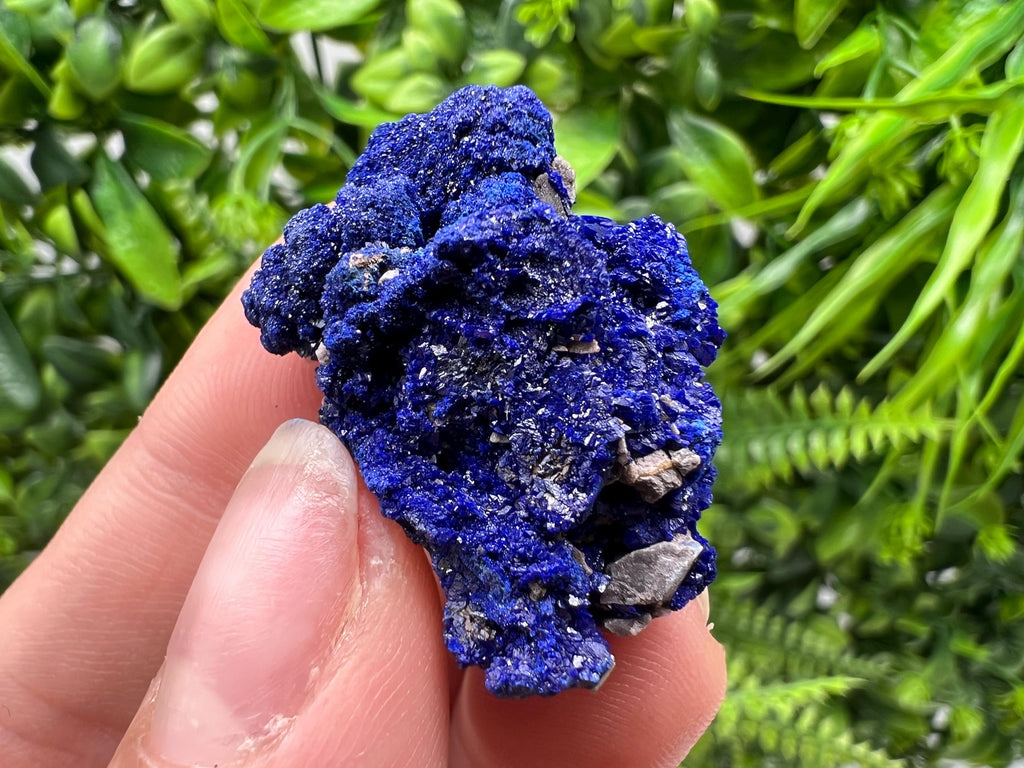 Crystallized Azurite-Kerrouchen,Morocco-Blue Azurite Specimen-High Quality Blue Azurite-Azurite Mineral Specimen, gemmy,lustrous of Azurite