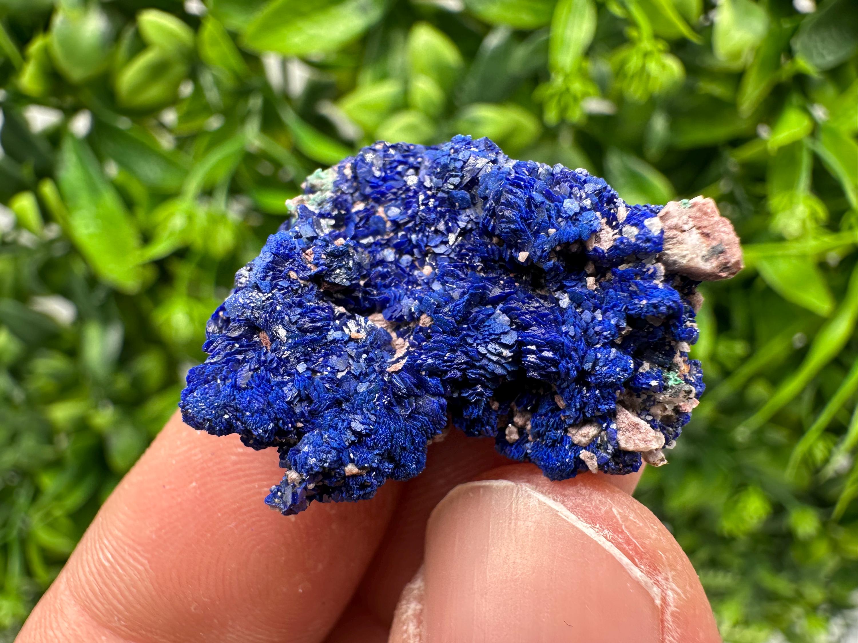 Crystallized Azurite-Kerrouchen,Morocco-Blue Azurite Specimen-High Quality Blue Azurite-Azurite Mineral Specimen, gemmy,lustrous of Azurite