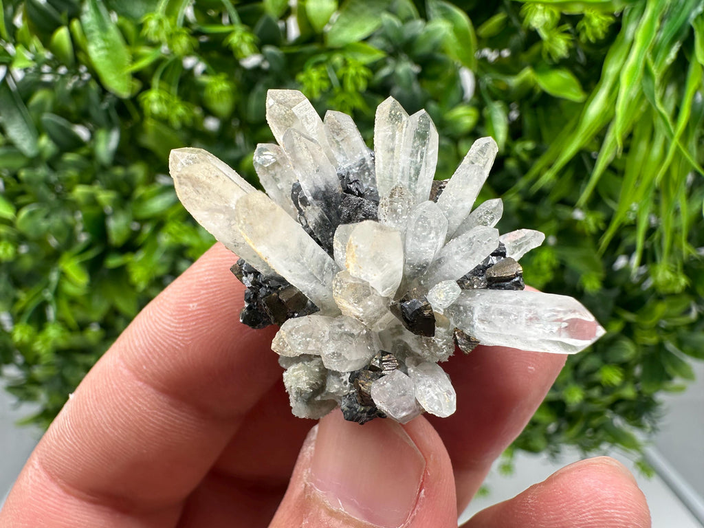 Wonderful Sphalerite Chalcopyrite on Green Quartz whit Hematite feom 9 th September mine,Bulgaria,natural,collection mineral specimen,gift