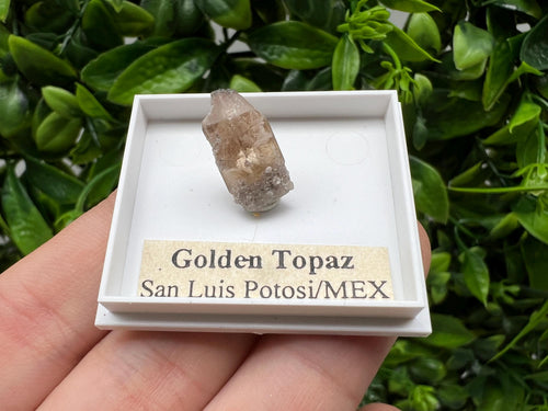 Beautiful Golden Topaz from Mexico, collector's piece, Crystal, Mineral, collectibles, Collectors, Natural Crystal, Minerals from Mexico, original,
