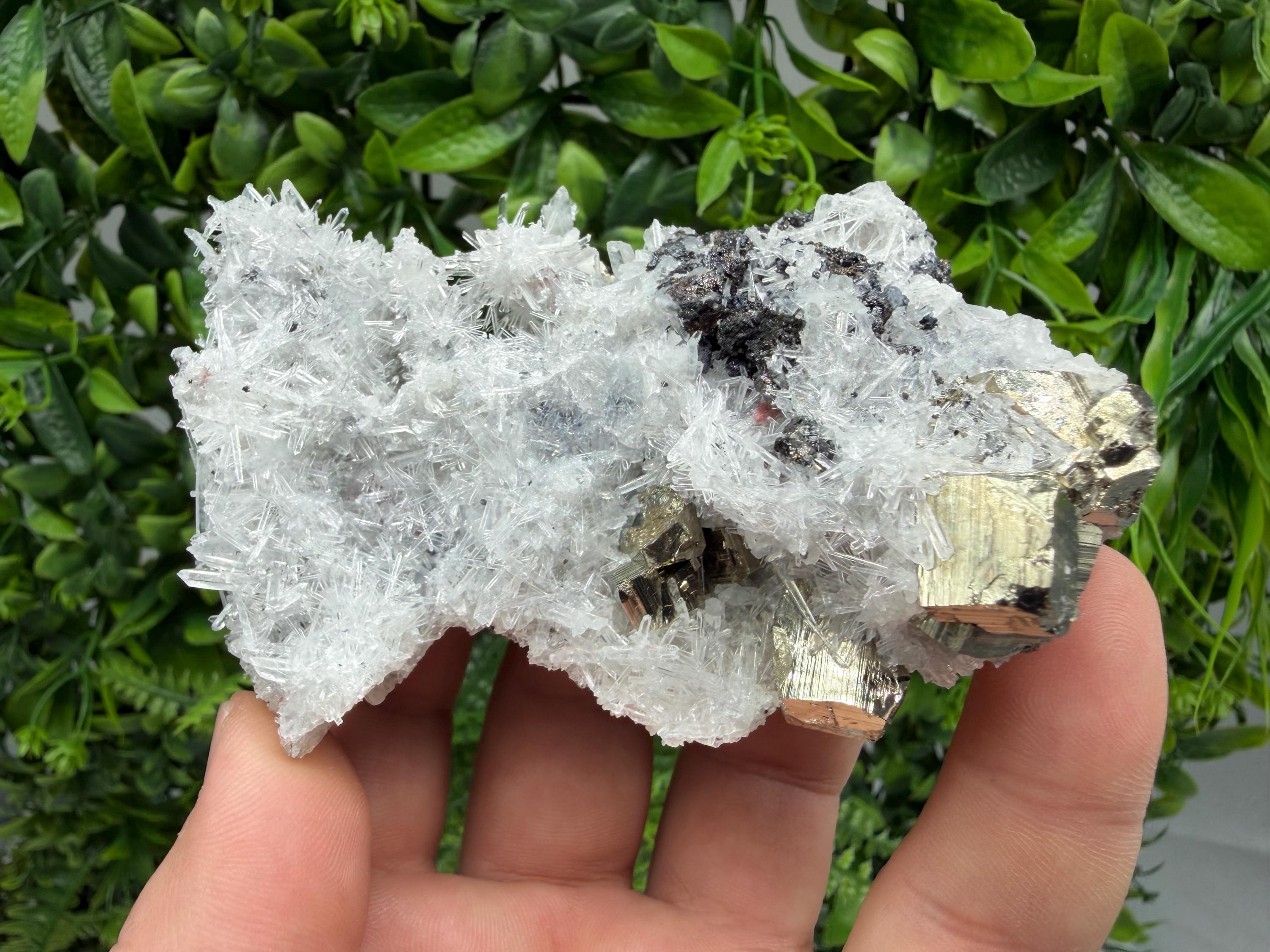 Pyrite Sphalerite Quartz  Mineral Specimen, Krushev dol Mine