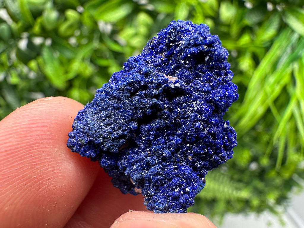 Crystallized Azurite-Kerrouchen,Morocco-Blue Azurite Specimen-High Quality Blue Azurite-Azurite Mineral Specimen, gemmy,lustrous of Azurite