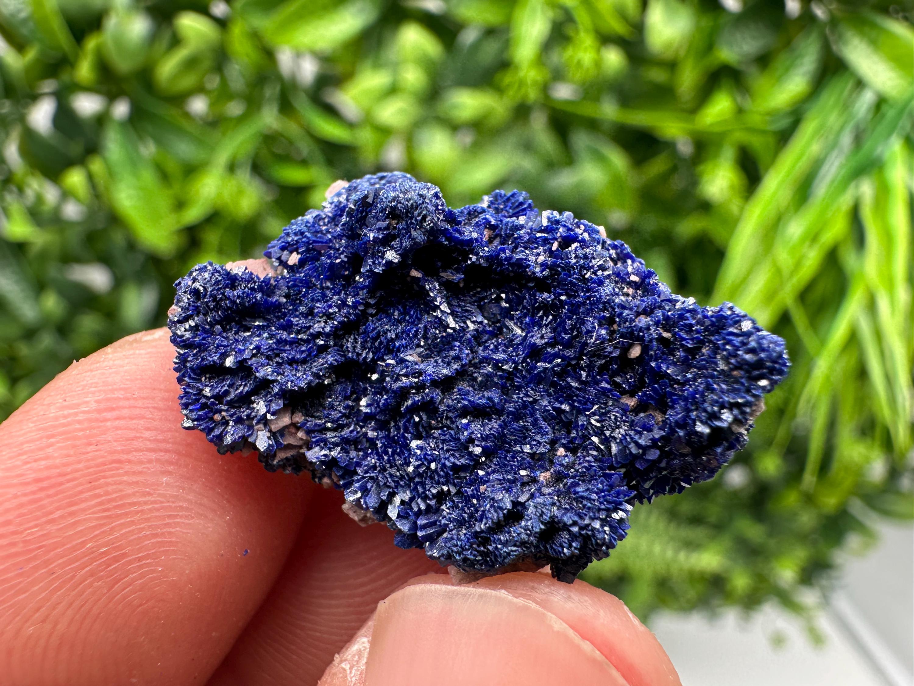 Crystallized Azurite-Kerrouchen,Morocco-Blue Azurite Specimen-High Quality Blue Azurite-Azurite Mineral Specimen, gemmy,lustrous of Azurite