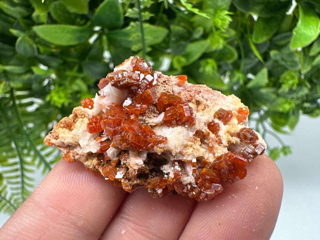 Red Vanadinite on Barite from Marocco,crystal minerals Speciment cluster Vanadinite crystal Vanadinite Geology Vanadinite cluster minerals