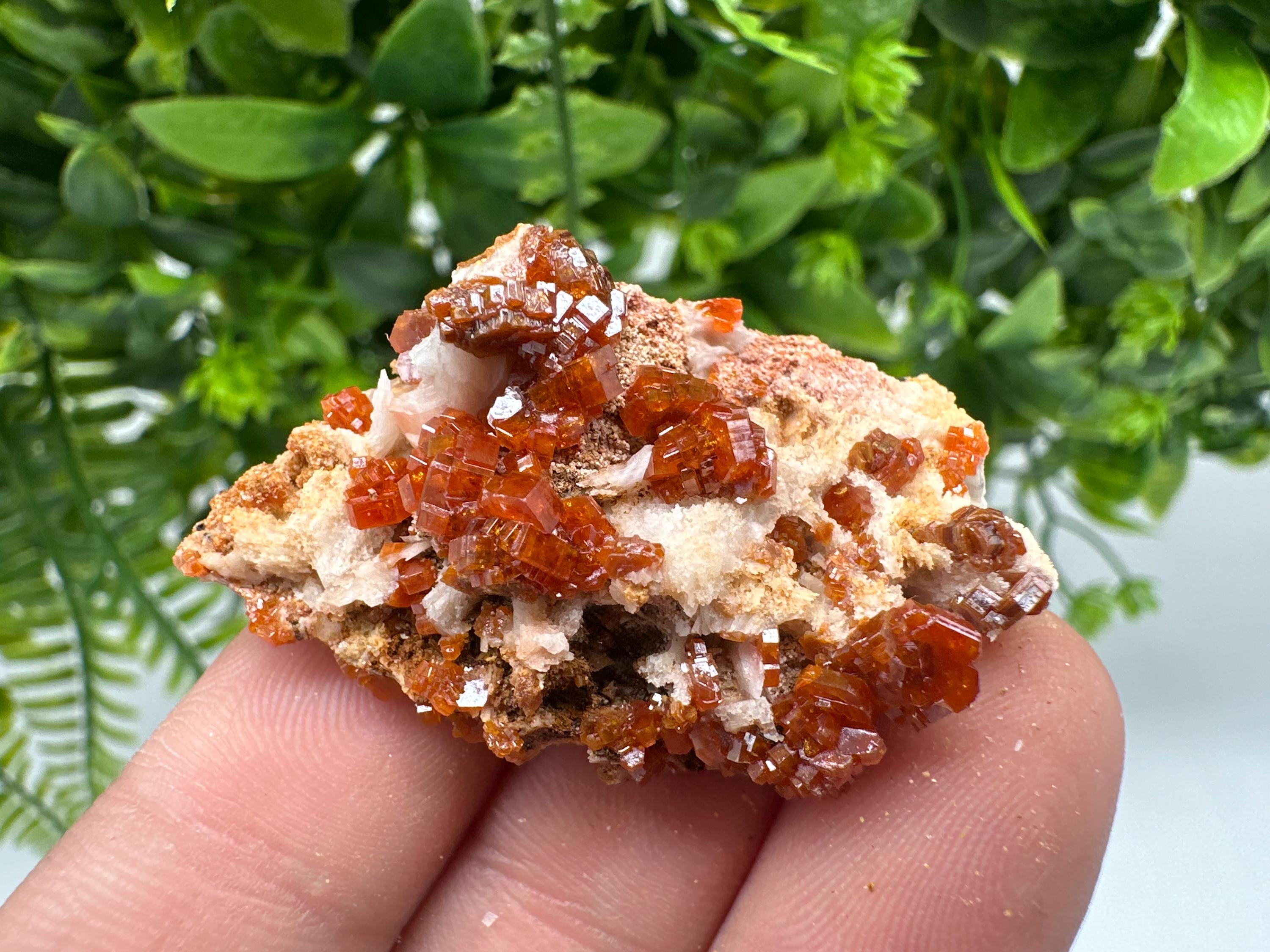 Red Vanadinite on Barite from Marocco,crystal minerals Speciment cluster Vanadinite crystal Vanadinite Geology Vanadinite cluster minerals