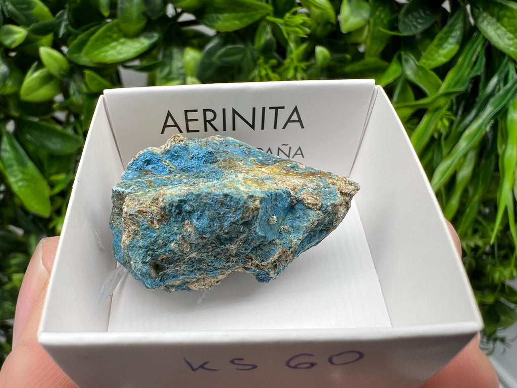 Rare Raw Aerinite Crystal, Mineral Specimen from Lleida, Spain