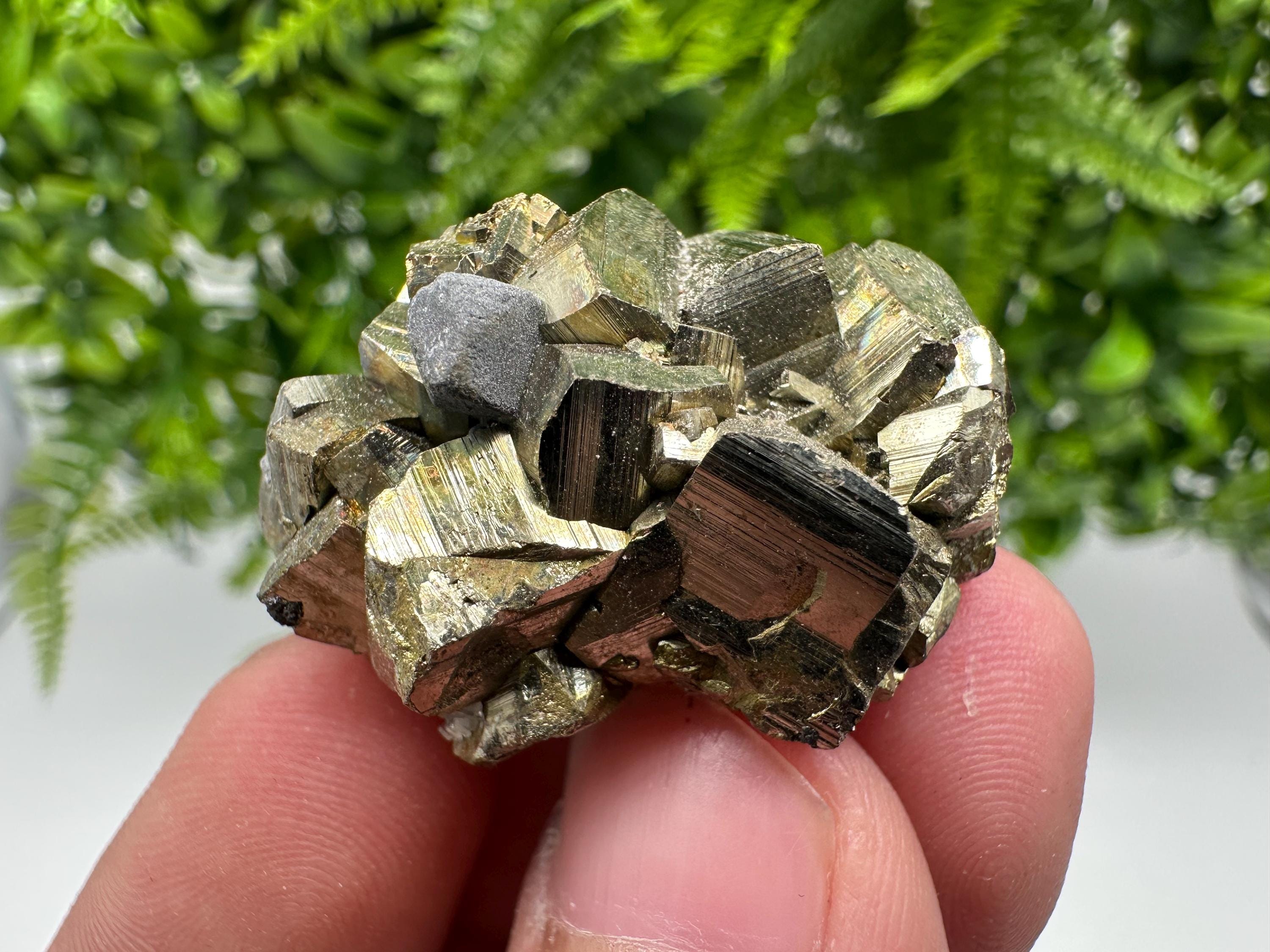 Rare crystallisation Pyrite,Borieva mine,Bulgaria,floating Pyrite,golden Pyrite,Pyrite cluster,mini Collection specimen,Rainbow Pyrite