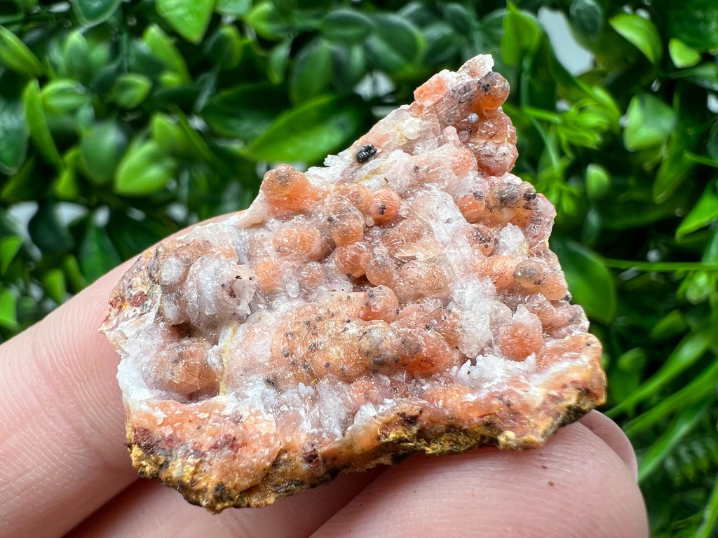 Moroccan Red Chalcedony Crystal Specimen: Rare Mineral Gift