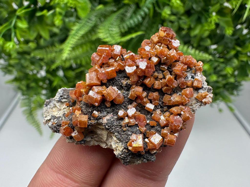 Red Vanadinite on Barite from Marocco,crystal minerals Speciment cluster Vanadinite crystal Vanadinite Geology Vanadinite cluster minerals