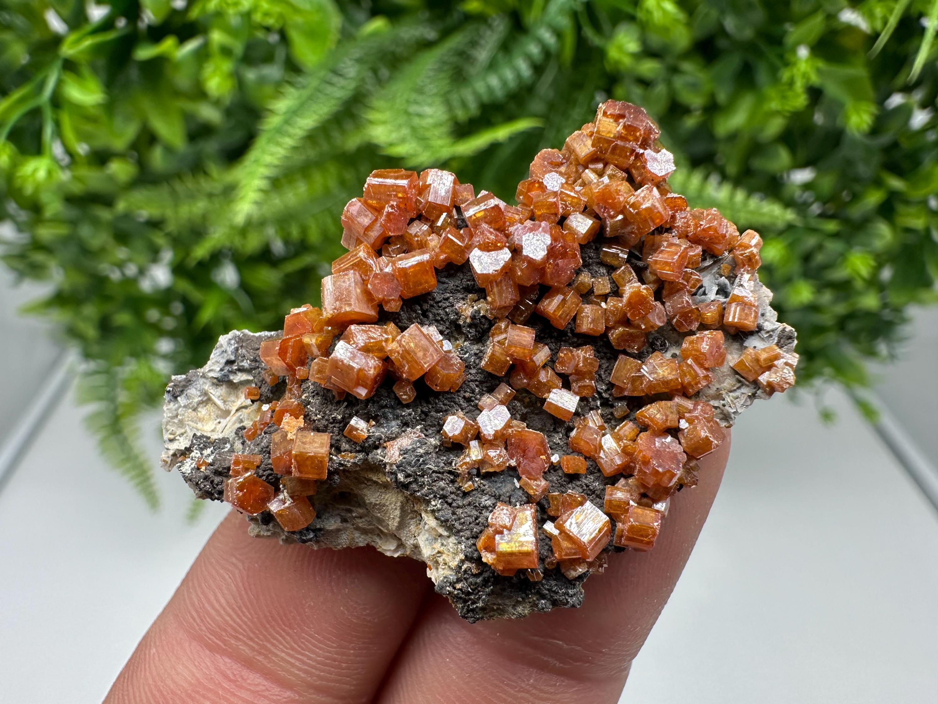 Red Vanadinite on Barite from Marocco,crystal minerals Speciment cluster Vanadinite crystal Vanadinite Geology Vanadinite cluster minerals
