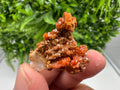 Red Vanadinite on Barite from Marocco,crystal minerals Speciment cluster Vanadinite crystal Vanadinite Geology Vanadinite cluster minerals