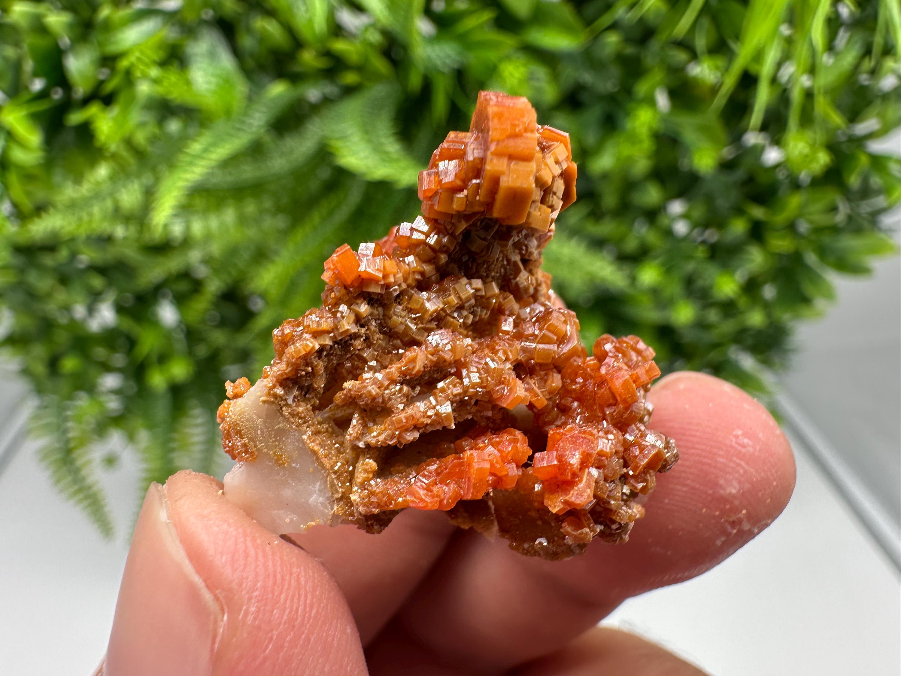 Red Vanadinite on Barite from Marocco,crystal minerals Speciment cluster Vanadinite crystal Vanadinite Geology Vanadinite cluster minerals