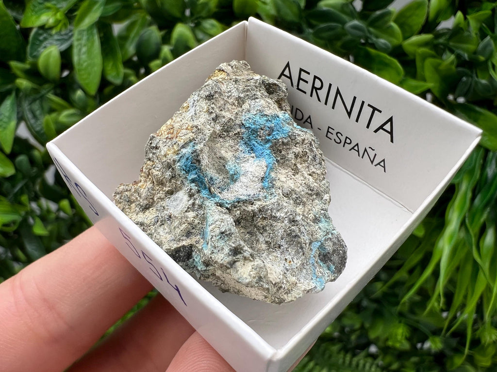 Rare Raw Aerinite Mineral Specimen: Collection Crystal from Lleida, Spain (4/3.5 CM)
