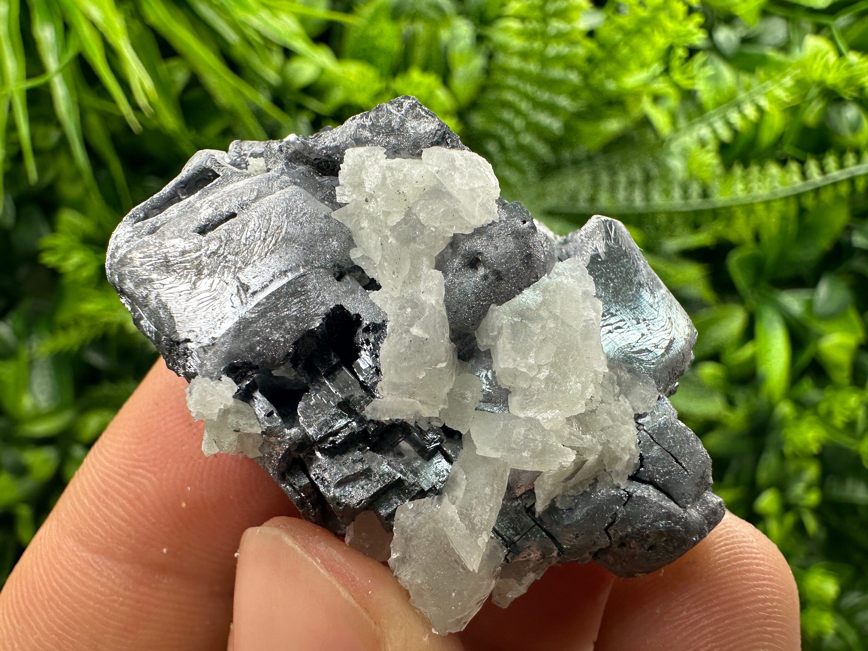 Galena Cluster: Borieva Mine, Madan, Bulgaria
