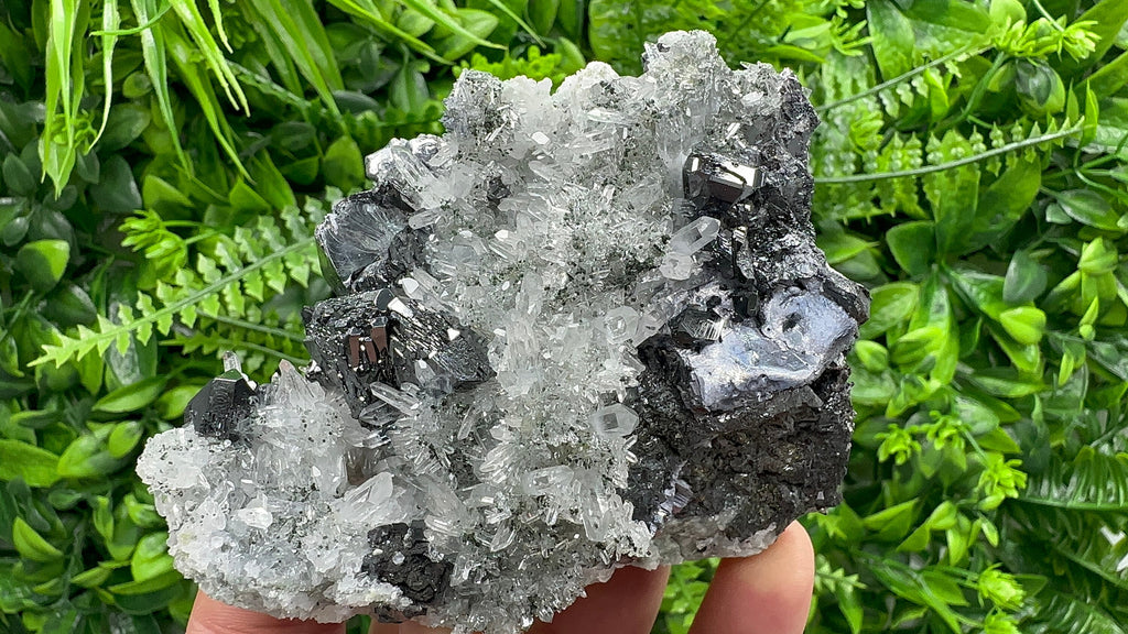 Sphalerite, Mirror Galena on Quartz, Bulgaria Minerals, Crystal Decor (9/7/7 cm)