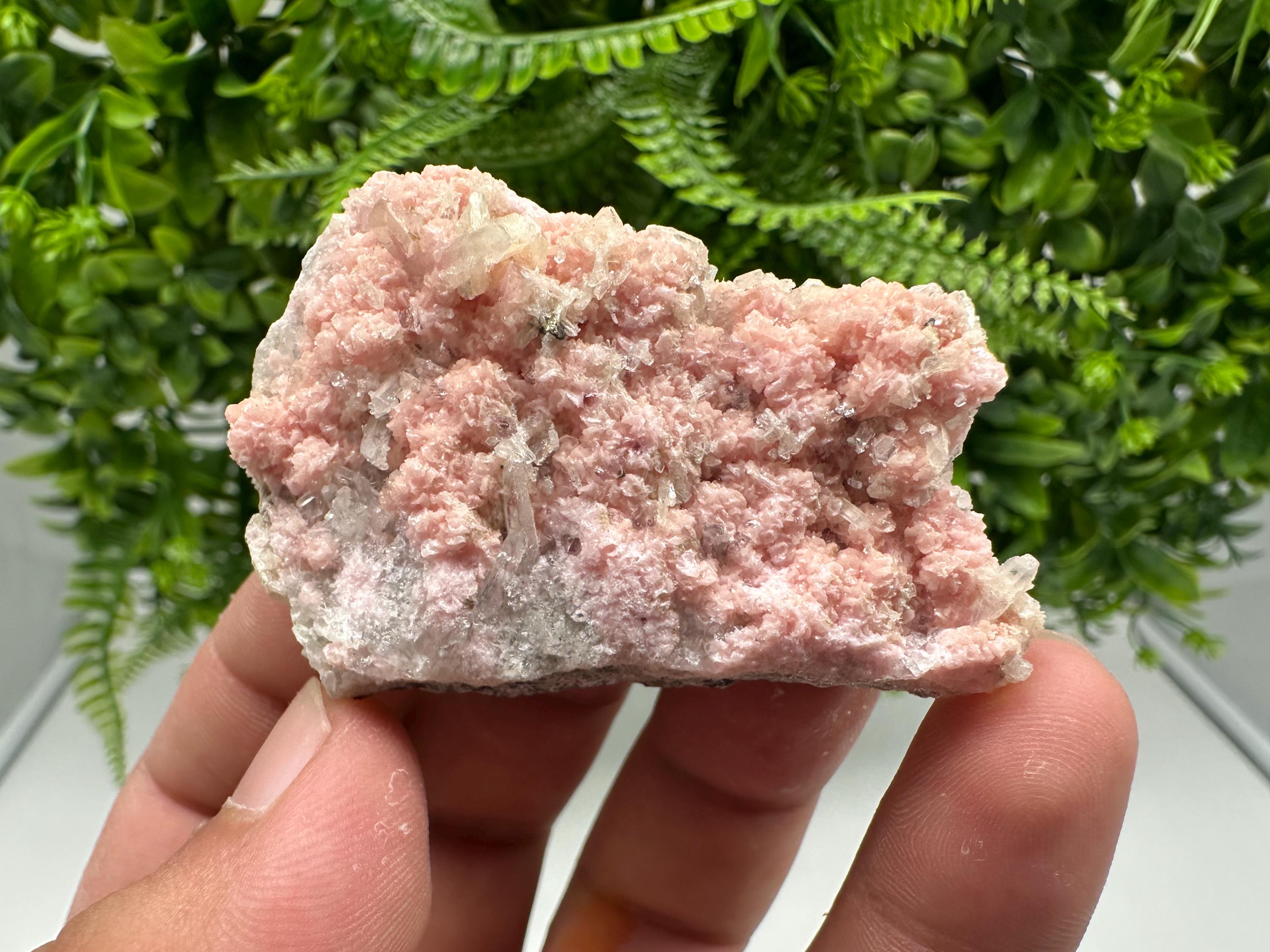 One beautiful cabinet size specimen of rhodochrosite, overgrowth by well-terminated quartz crystals Starnica mine Davidcovo area Bulgaria