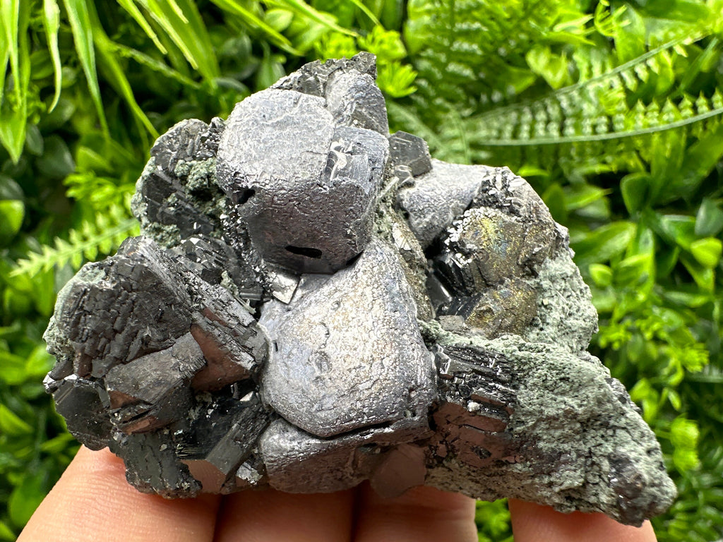 Galena Sphalerite on Chlorite Matrix, Bulgaria Mineral Specimen (6/6/4 cm)