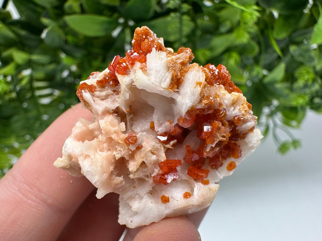 Red Vanadinite on Barite from Marocco,crystal minerals Speciment cluster Vanadinite crystal Vanadinite Geology Vanadinite cluster minerals