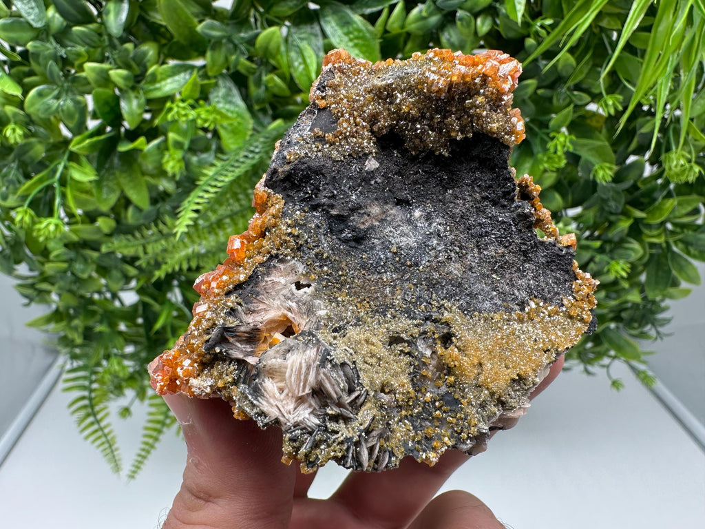 VERY Rare red Vanadinite on Barite whit Goethite from Marocco,crystal minerals Speciment cluster Vanadinite crystal Vanadinite Geology Vanad