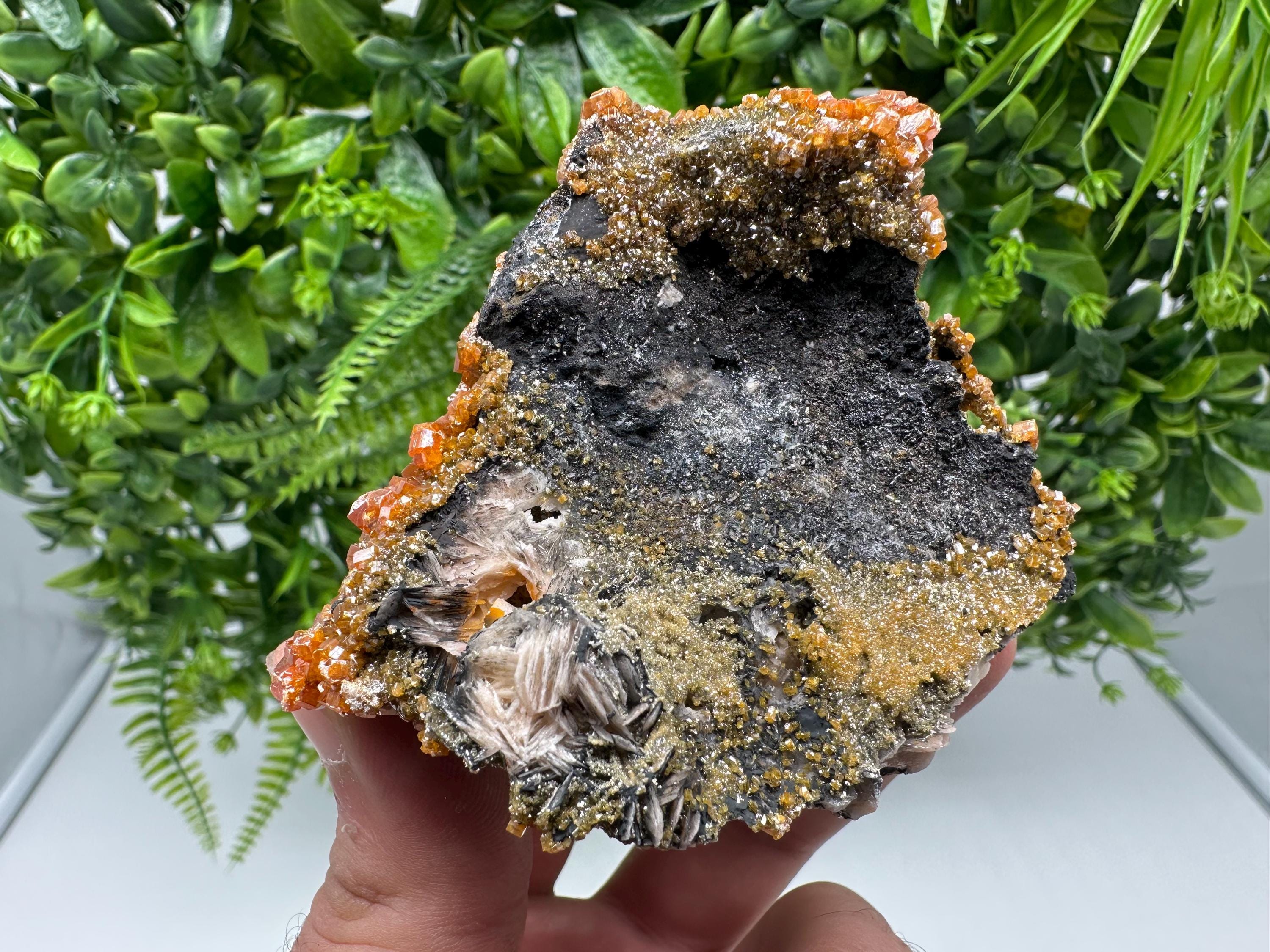 VERY Rare red Vanadinite on Barite whit Goethite from Marocco,crystal minerals Speciment cluster Vanadinite crystal Vanadinite Geology Vanad