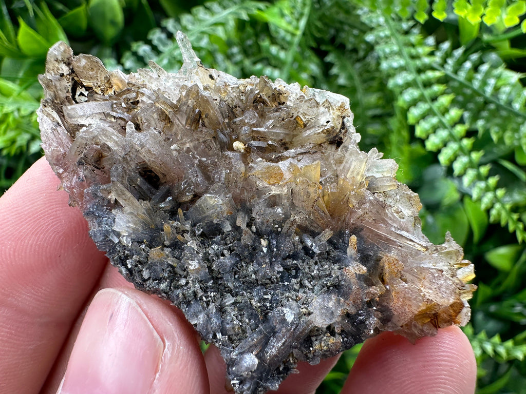 Limonite Coated Quartz Crystal, Natural Mineral Specimen