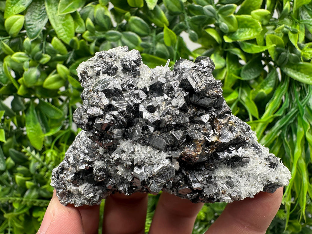 Sphalerite on Green Quartz, Madan Bulgaria, Mineral Specimen