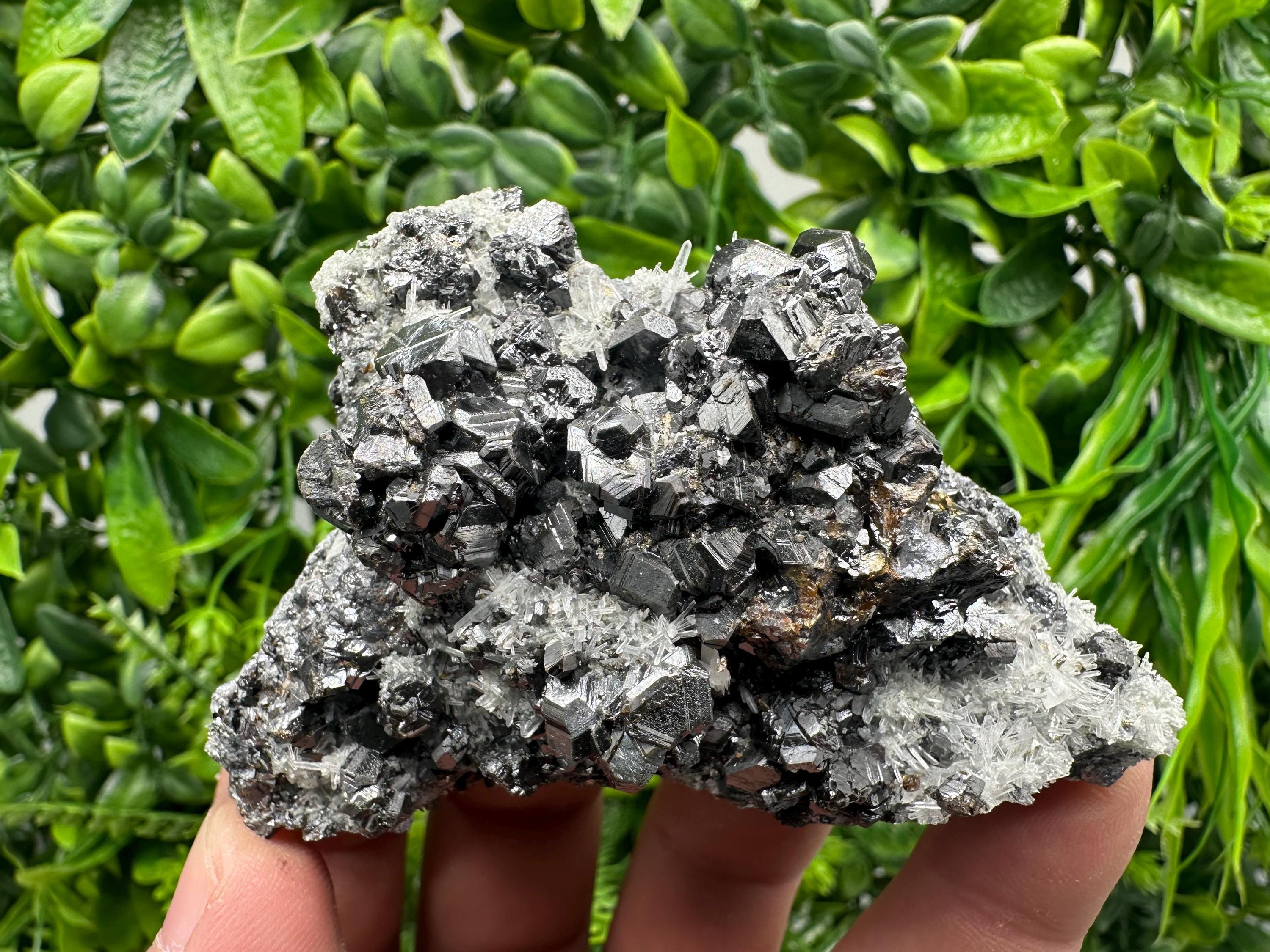 Sphalerite on Green Quartz, Madan Bulgaria, Mineral Specimen