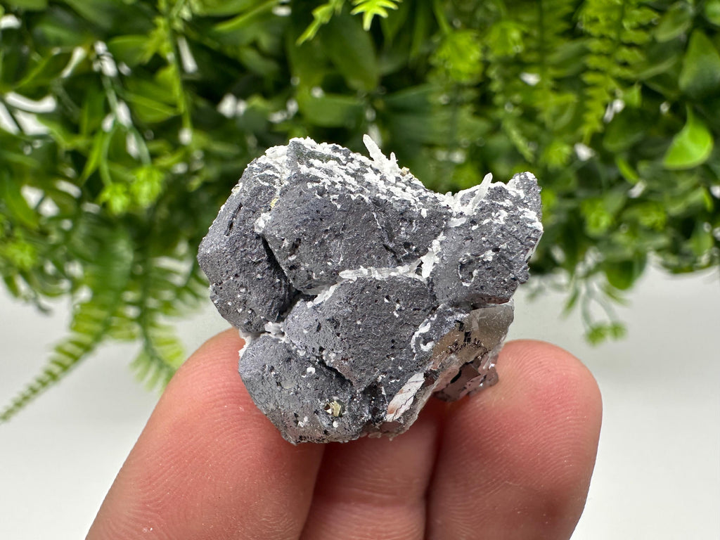 Skeletal Galena on Quartz, Bulgaria Mineral Specimen