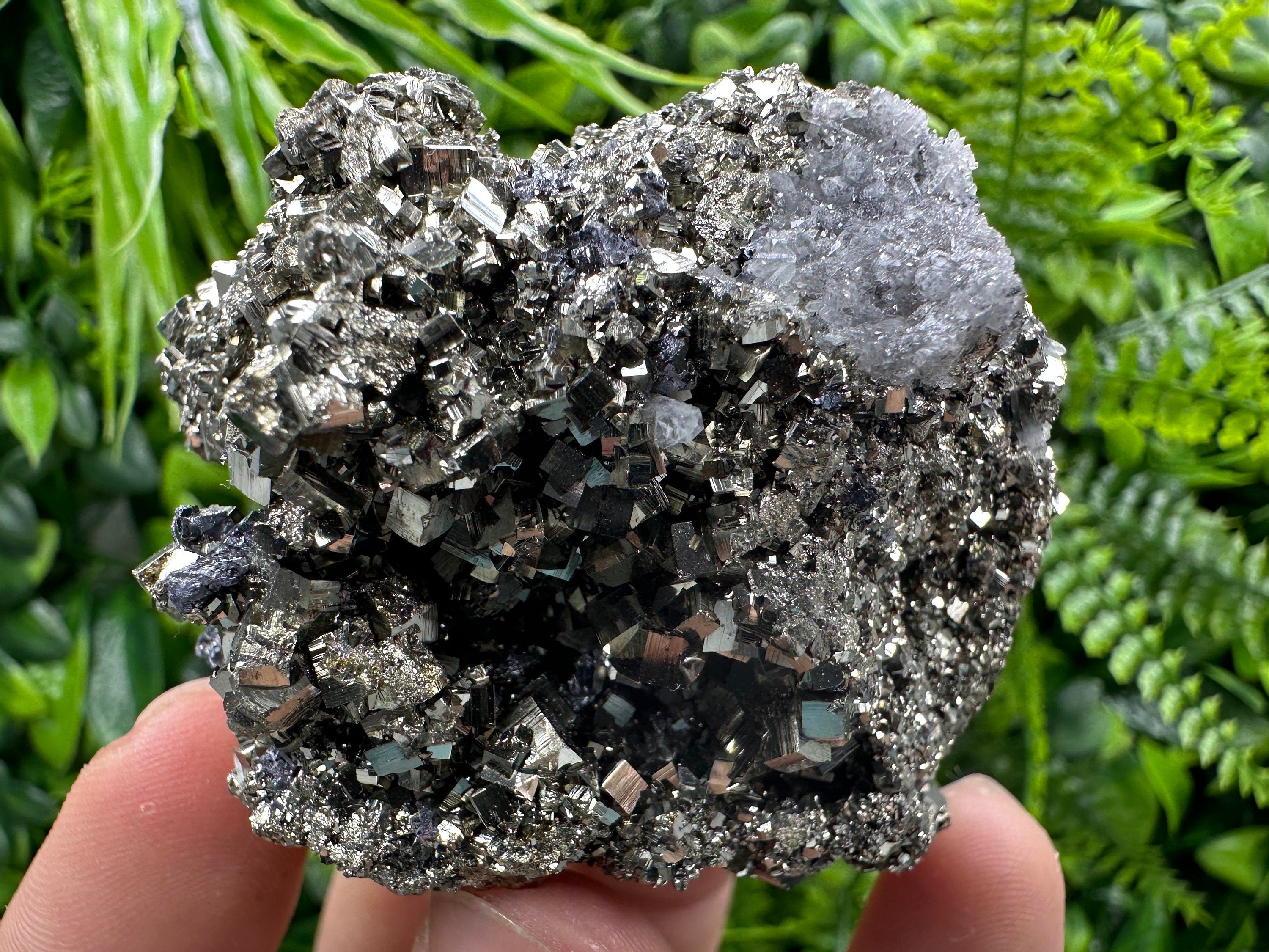 Golden Pyrite Crystal: Borieva Mine, Bulgaria