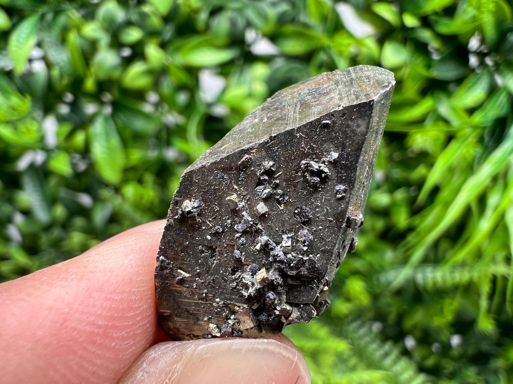 Mini Rare crystallisation Pyrite,Borieva mine,Bulgaria,floating Pyrite,golden Pyrite,Pyrite cluster,mini Collection specimen,Rainbow Pyrite