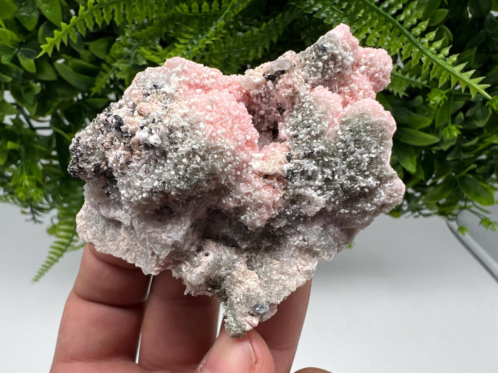 RARE Rhodochrosite with Calcite: Starnica Mine, Bulgaria