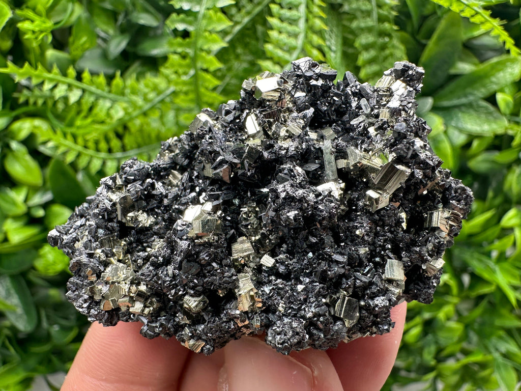 Golden Pyrite with Sphalerite, Borieva Mine Mineral Specimen