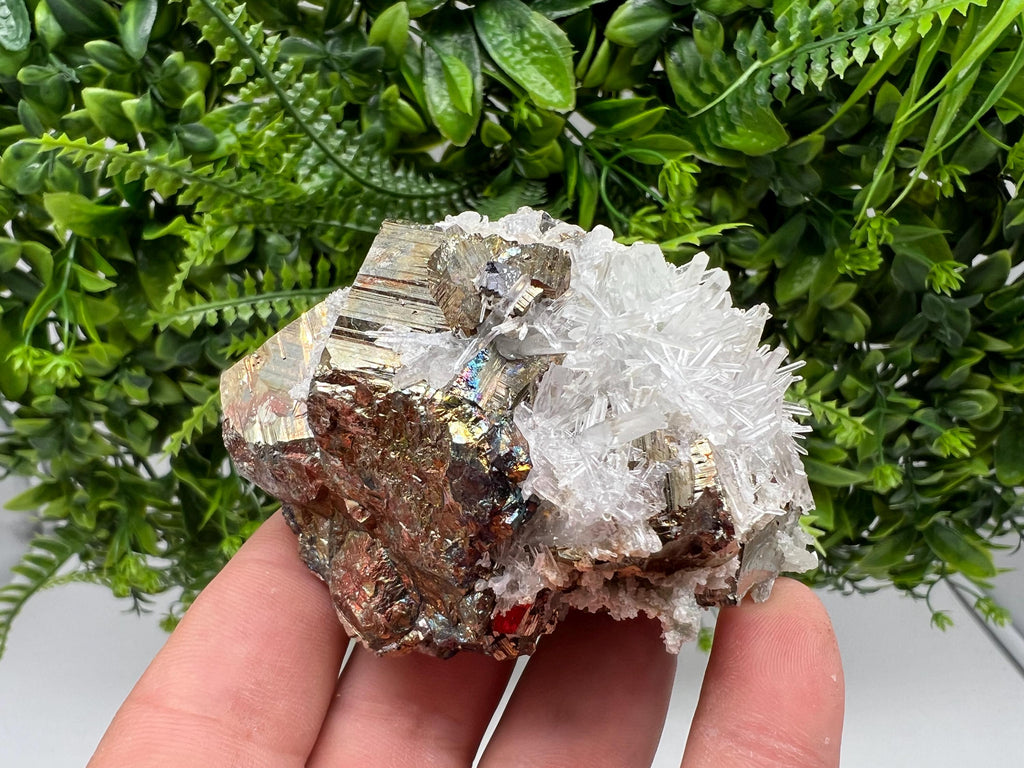 Rare Pyrite on Quartz Crystal: Borieva Mine, Bulgaria