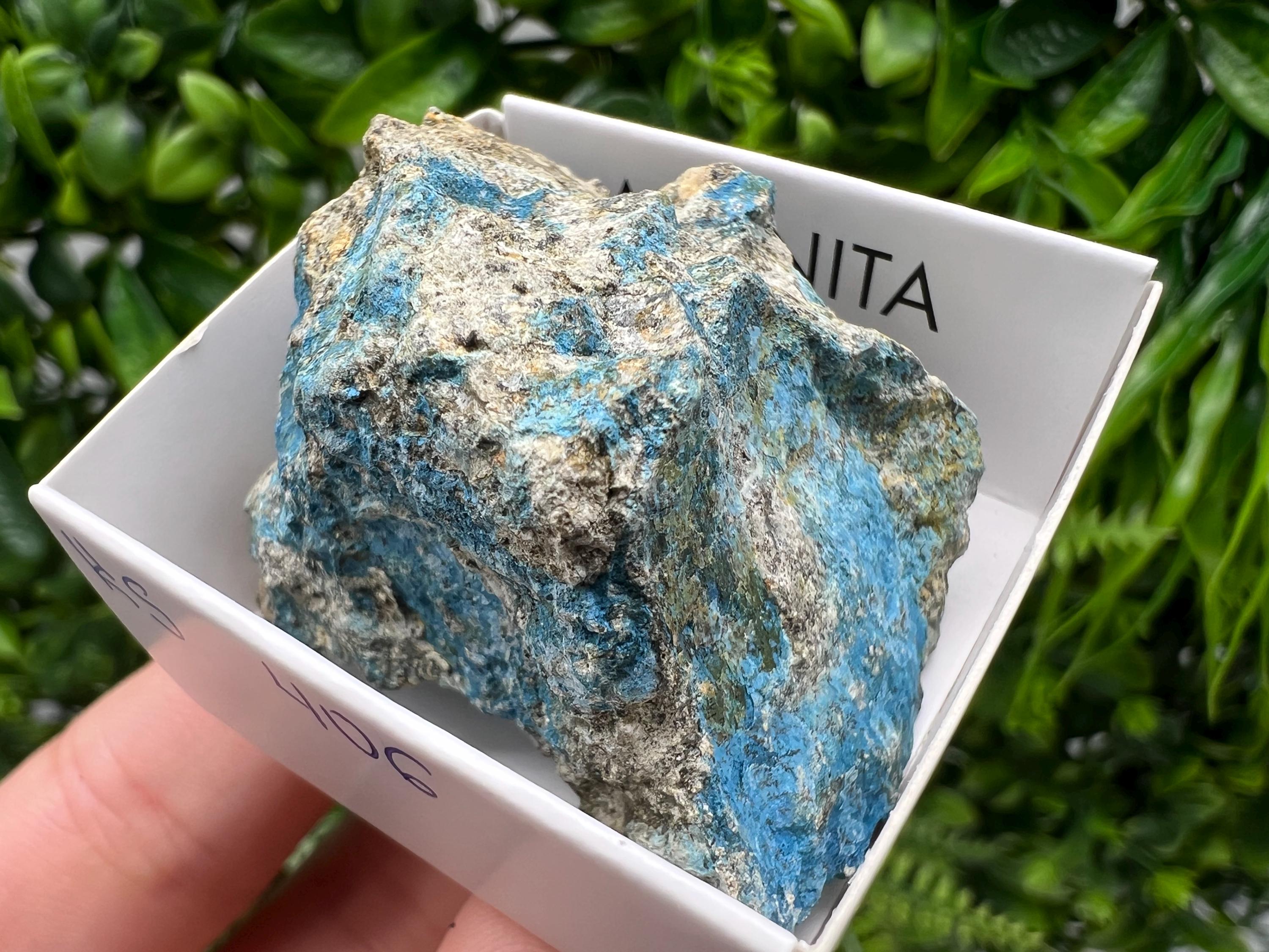 Rare Raw Aerinite Mineral Specimen: Lleida, Spain Collection Crystal