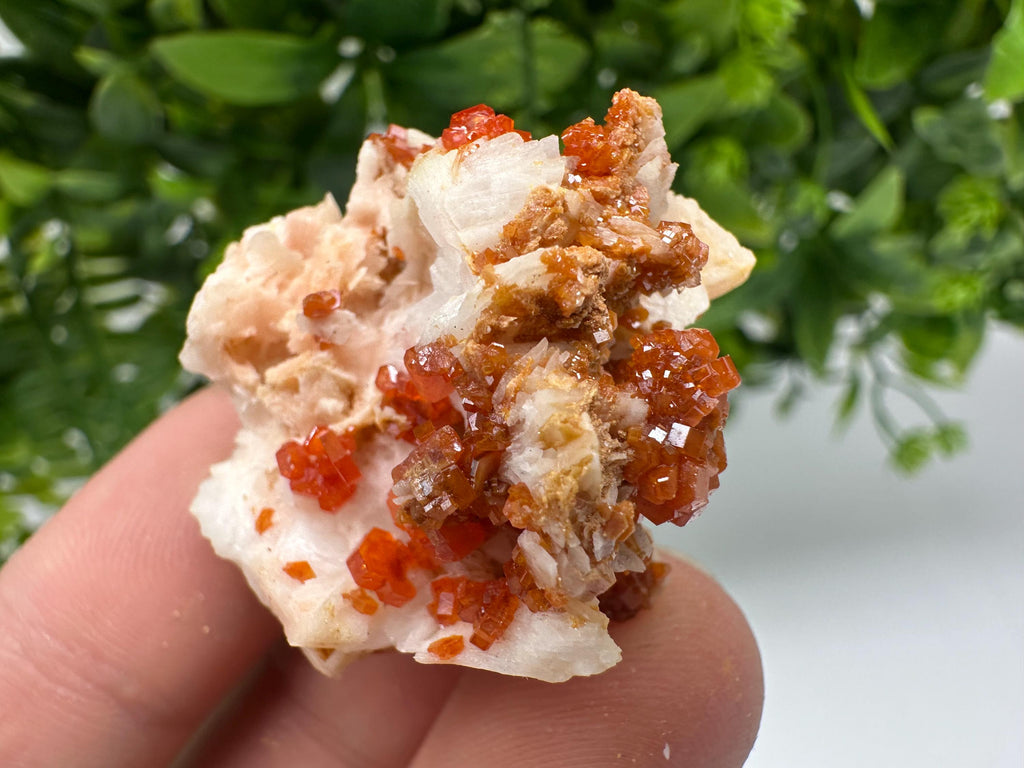 Red Vanadinite on Barite from Marocco,crystal minerals Speciment cluster Vanadinite crystal Vanadinite Geology Vanadinite cluster minerals