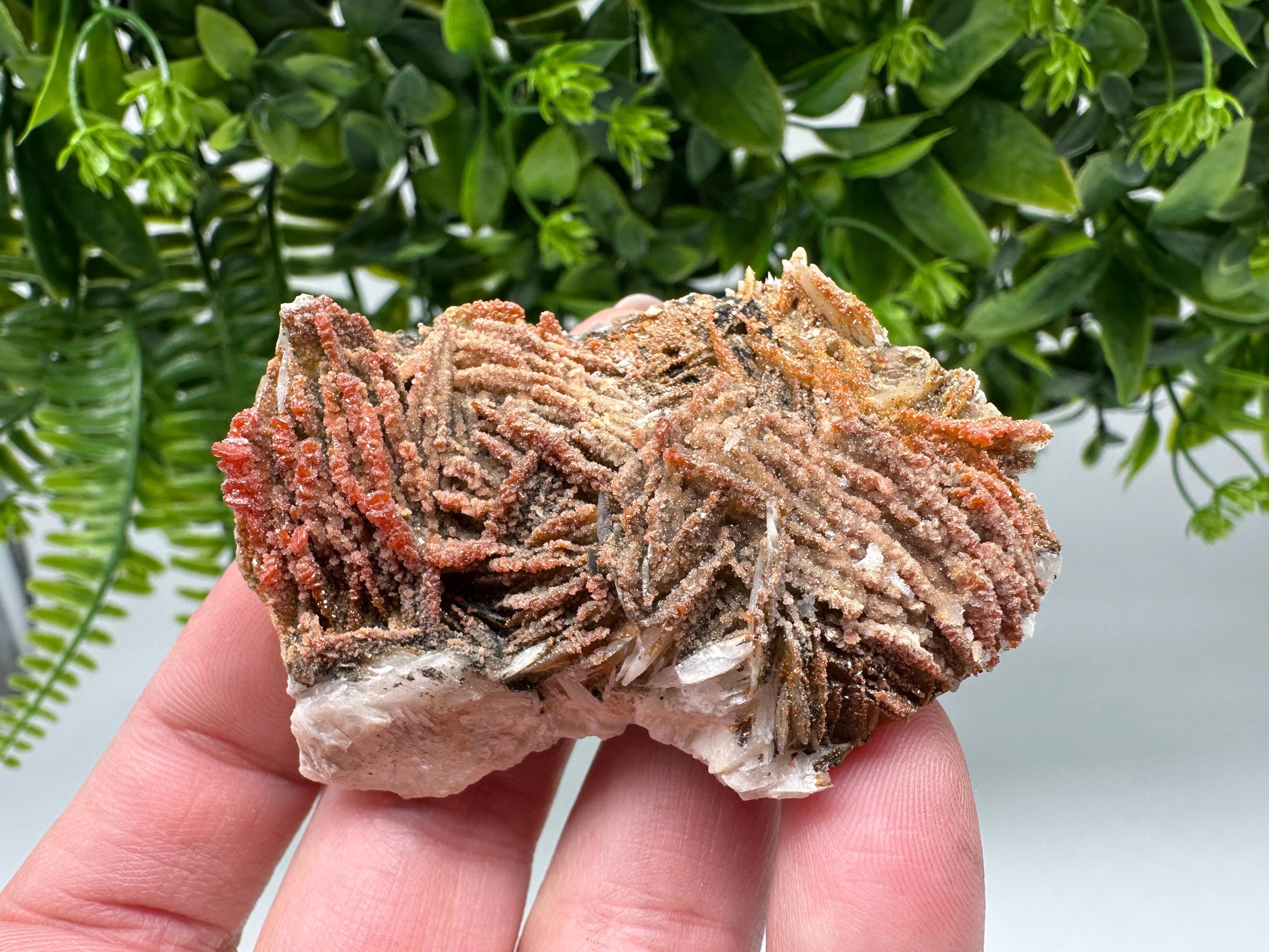 Red Vanadinite on Barite from Marocco,crystal minerals Speciment cluster Vanadinite crystal Vanadinite Geology Vanadinite cluster minerals