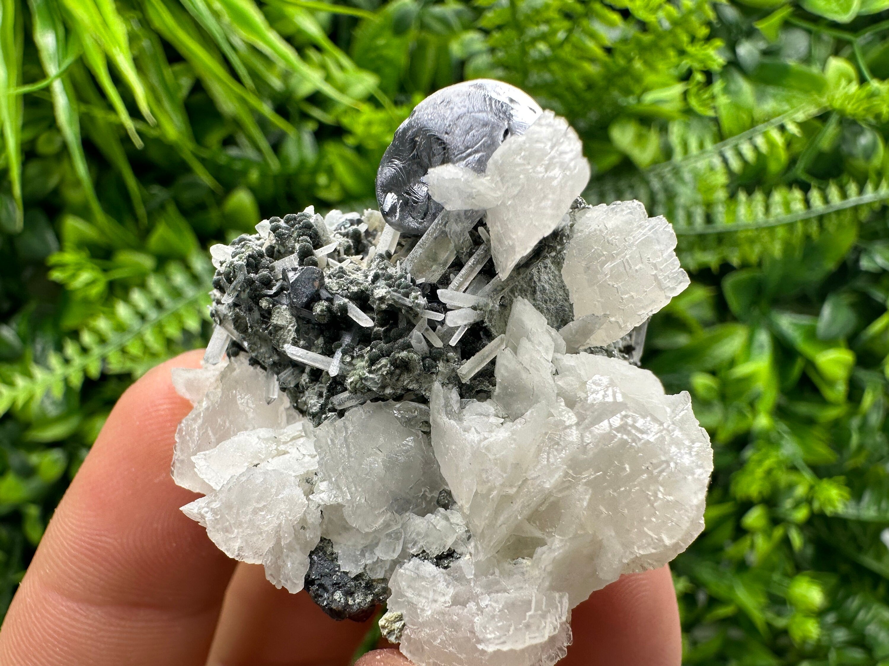 Mirror Galena, Calcite, Sphalerite on Quartz with Chlorite, Bulgaria
