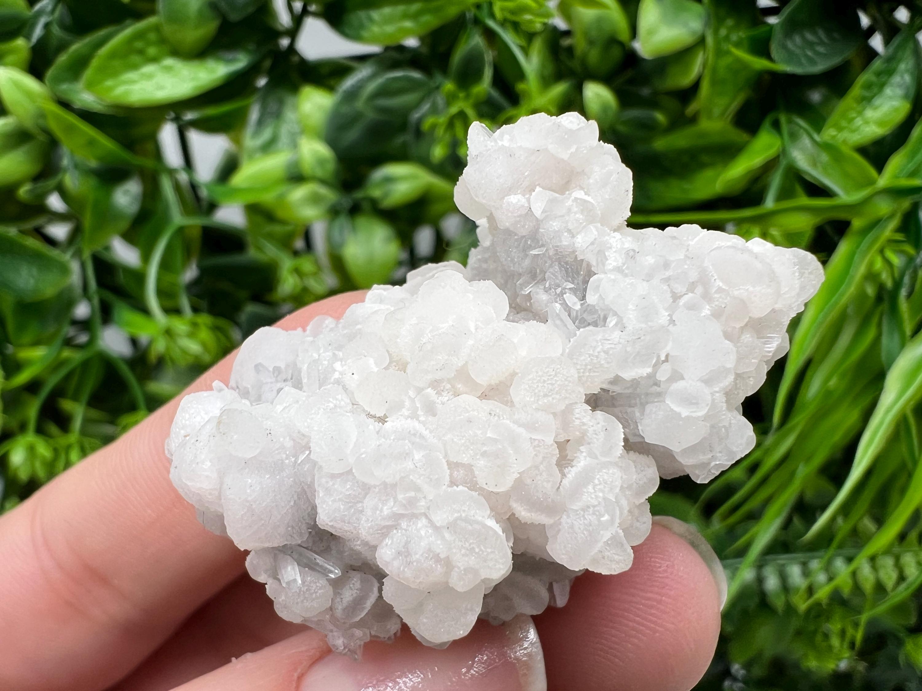 Mangano Calcite with Galena, Borieva Mine, Bulgaria