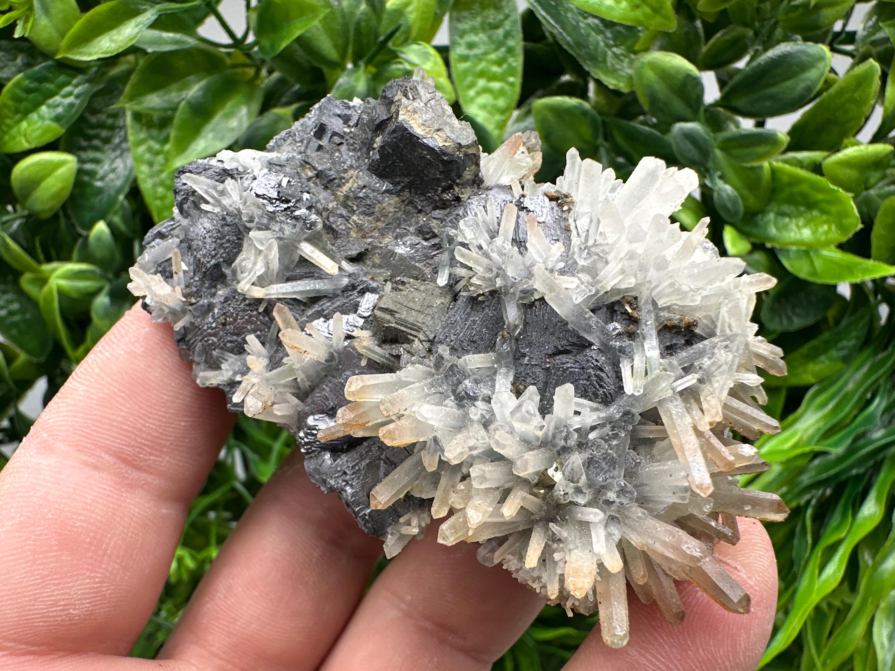 Galena, Sphalerite, Chalcopyrite, and Quartz Mineral Specimen, Djurcovo Mine